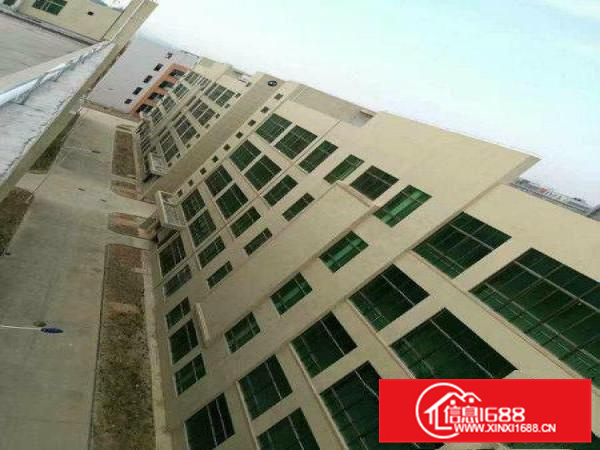 水口独栋新建标准厂房8300平方招租（可分租）