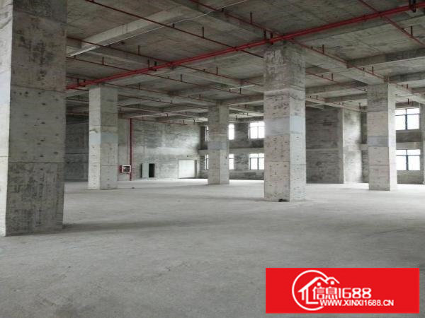 原业主1500平厂房出租不限行业层高8.5米