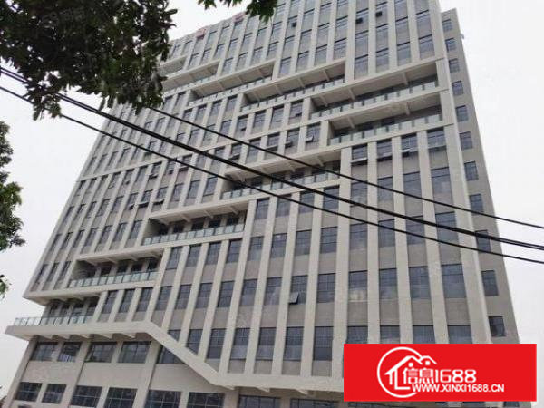 大朗全新独栋厂房出租现成装修可装峰谷表周边无居民