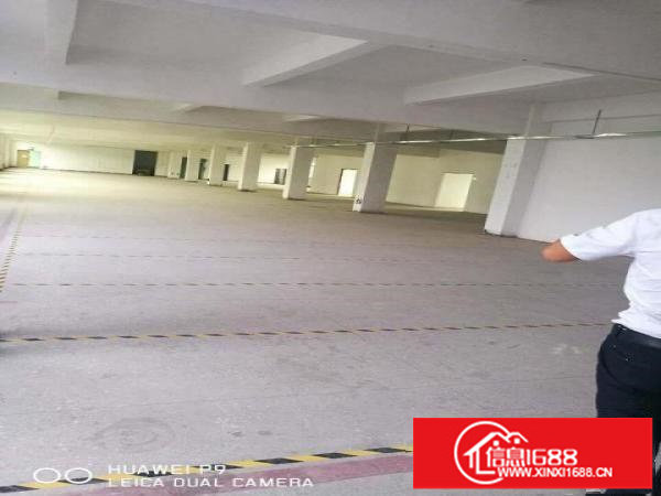 13元抢租楼上1200平可分租