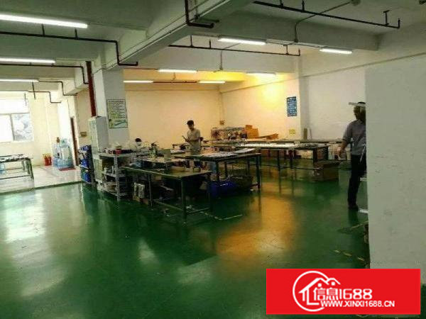 公明田寮新出楼上400平方精装修厂房出租