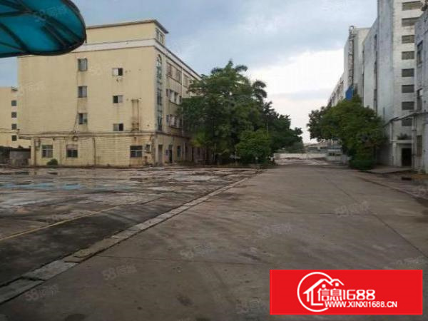 万江蚬涌独门独院，超大空地，大小可分租厂房出租