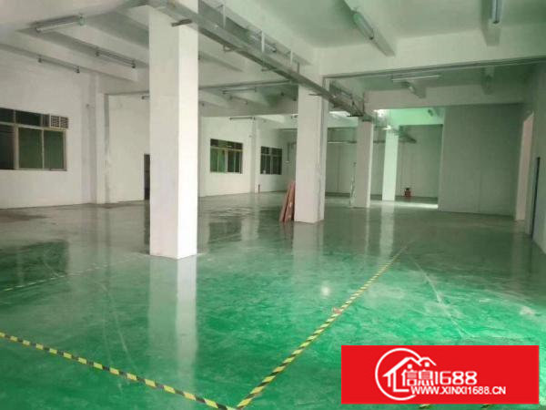 平湖新出原房东独院厂房一楼整层1200平方，带现成装修