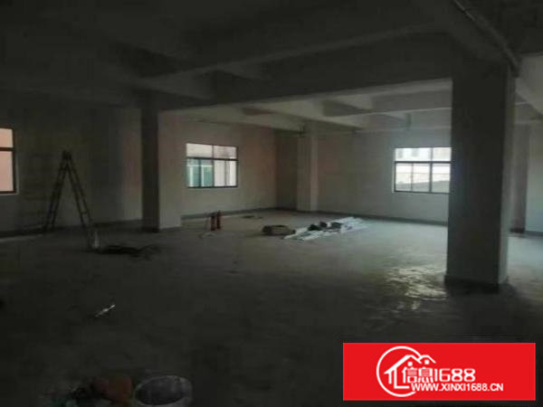 横沥镇原房东标准厂房一楼二楼无公摊面积出租