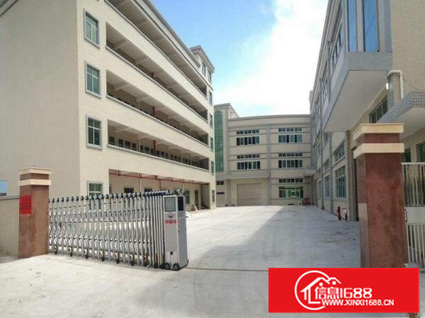 高埗标准一楼1500平方厂房出租带消防喷淋水电齐全