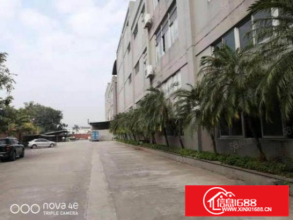 石排镇工业区原房东带红本花园式独院厂房60000平米招租