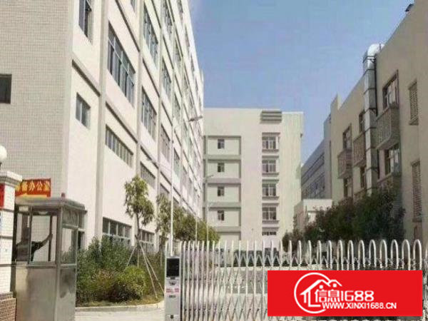 出租龙岗区188工业园新出三楼1400平方带办公室厂房