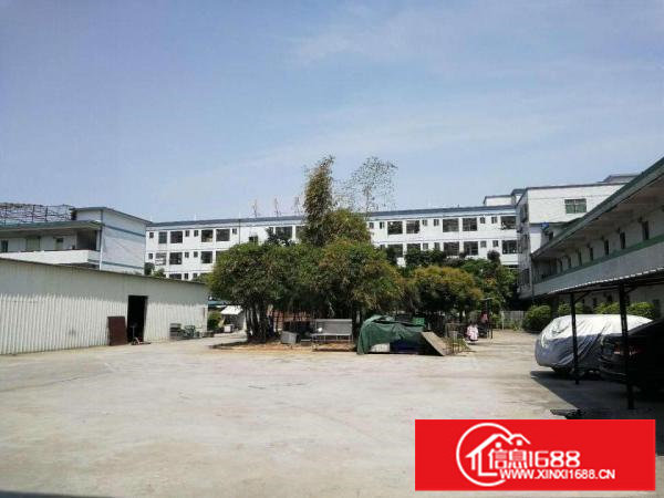 坪山碧岭4000平独院空地大的可以养殖