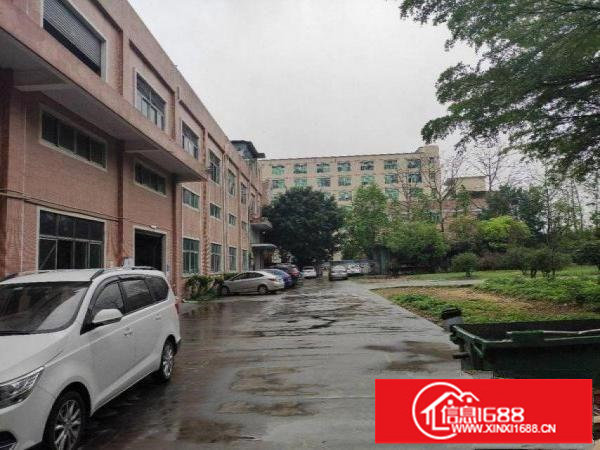 横岗沙荷路新出一楼厂房出租1000平带装修高6米带行车过环评