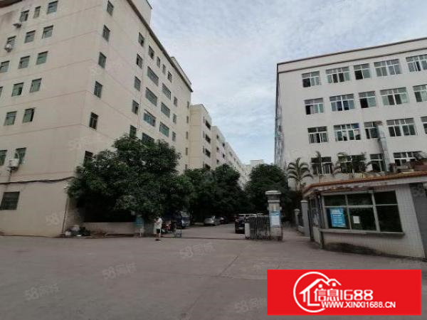 坂田上雪科技园1000平厂房出租水电齐全带消防喷淋可分租