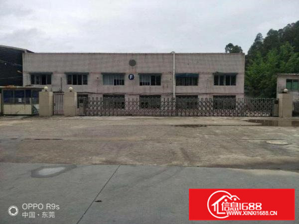 大岭山镇新出单一层钢结构独院可办环评厂房3300平方出租