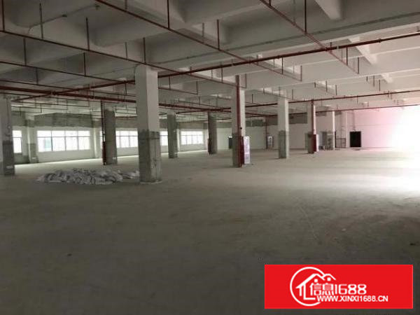 塘厦石鼓，原房东全新2100平方标准厂房，报价22，可分租