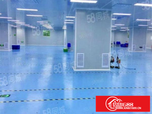 （放租）万江新出1800平方10万级无尘车间厂房现成装速