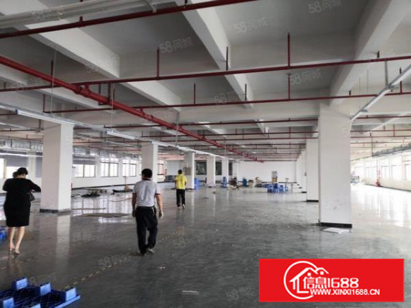 500平起分租塘厦大坪标准楼上1900平出租，公摊小手慢无