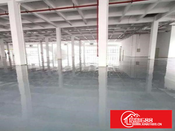 原房东独栋厂房出租带现成无尘车间