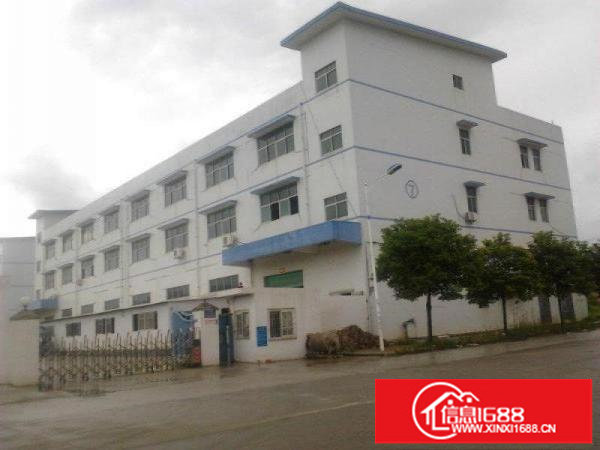 观澜，高新园周边独院厂房，5000平可分租