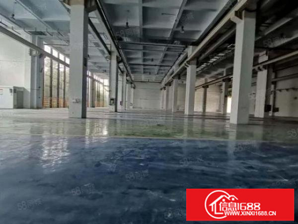 一手房东红本厂房一楼3200平方出租一楼层高9米可申请补贴