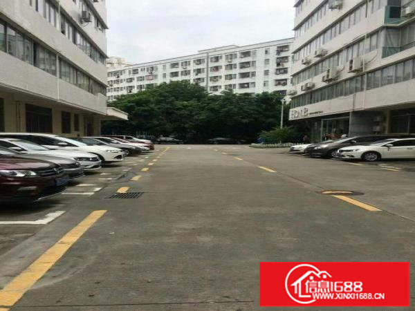 坂田大型工业区2500平可分一半，适合电商研发外贸设计等