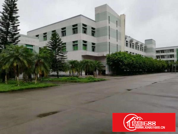 茶山镇工业区厂房招租，花园式厂房出租2700平方现成装修