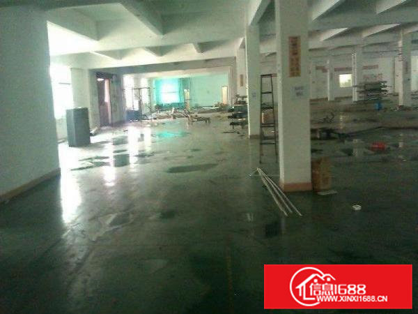 带豪华装修厂房招租）大朗镇中心新出楼上1350平