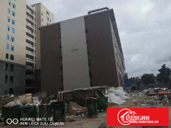 坪山坑梓新出独院标准红本厂房120000平合同十年可分栋租