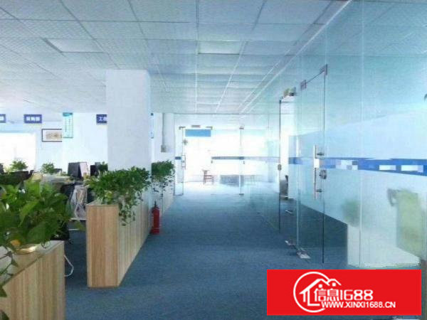 龙岗南约原房东厂房出租一楼6米高1300平可分租