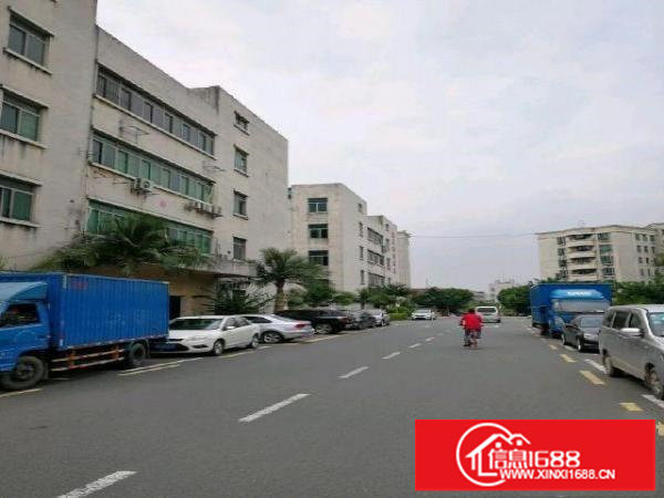 坂田杨美附近上雪科技园电商厂房仓库500平米出租