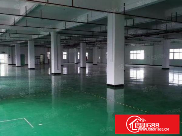 大朗象山工业城原房东红本独院厂房出租，总面积13000平