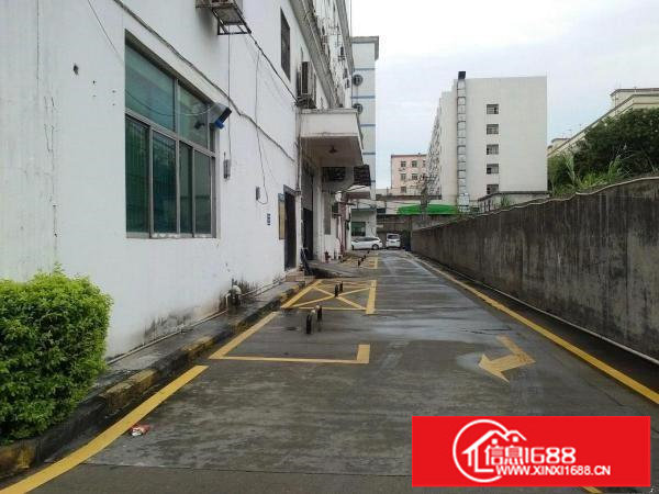 下早工业区18O，500，65O至1800平出租