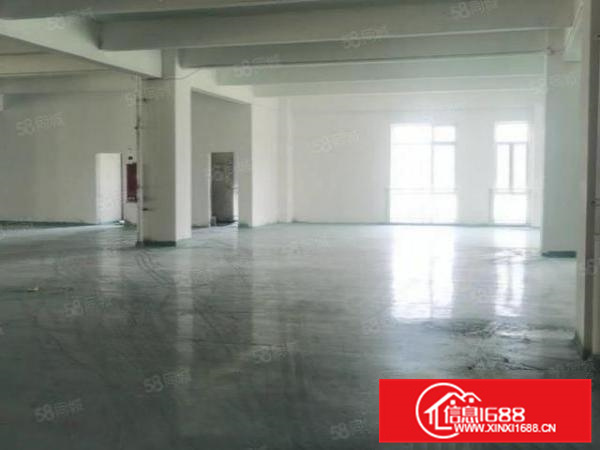 杏坛高赞全新楼层式带地坪漆592方厂房，即租即用