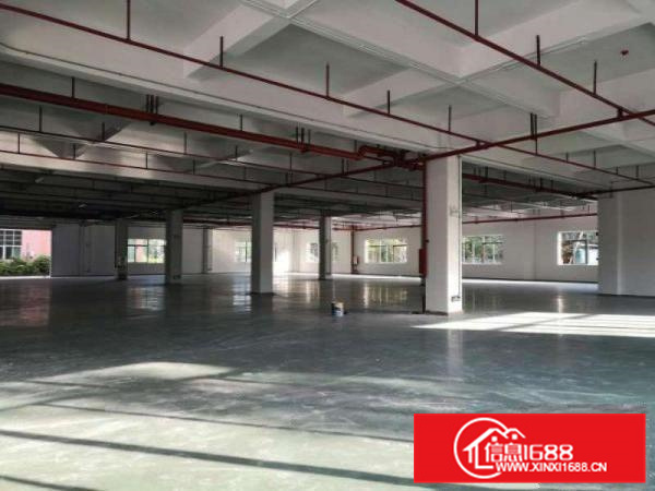 惠州惠阳三和经济开发原房东红本独栋标准厂房出租11000平方