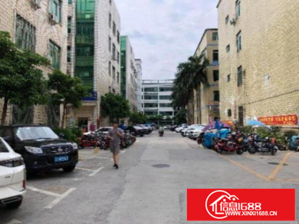 大浪原房东厂房出租真正还价就租