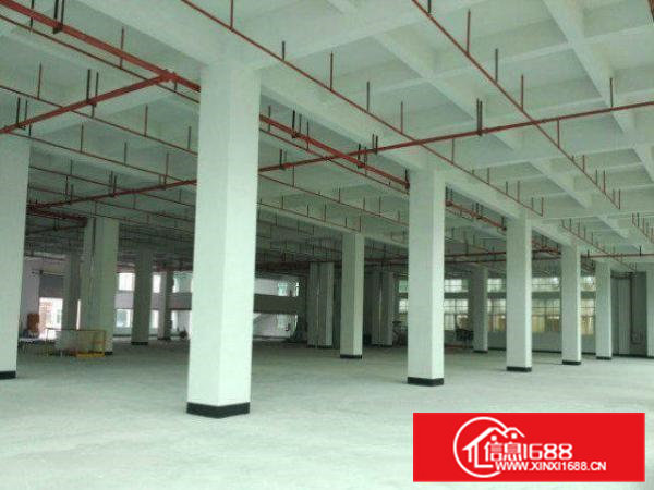 清溪厦坭新出标准厂房1-2F面积2000平火爆招租