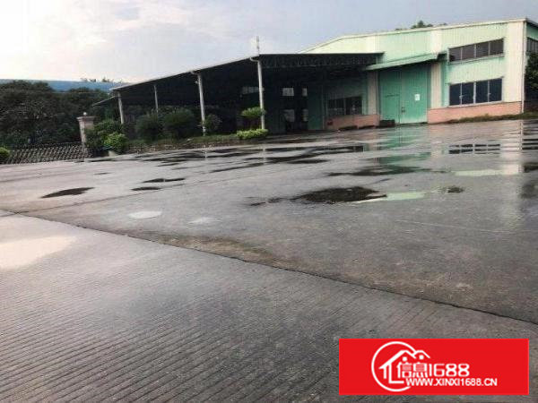 凤凰岗出租200方厂可办环评，配电大，配套完善，租金便宜独院