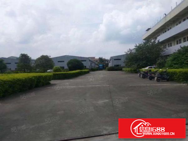 万江20000平米大空地绿化独院单一层厂房