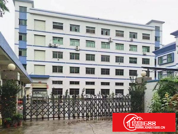 大朗富民工业园3000平厂房出租，可分租可做喷油，喷粉