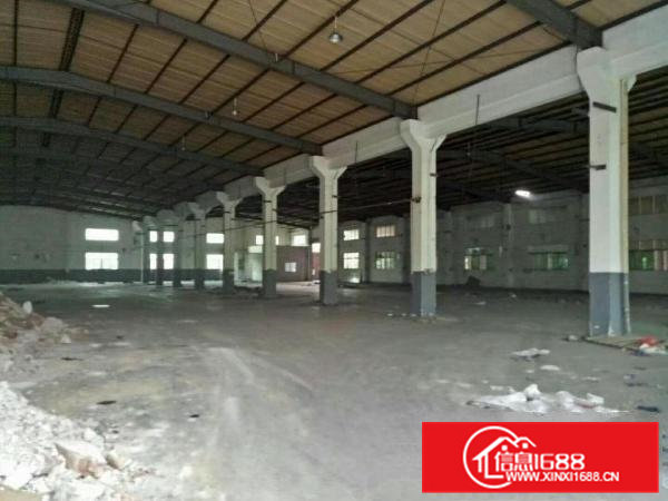 凤岗镇金凤凰工业区8米高钢构2250平方