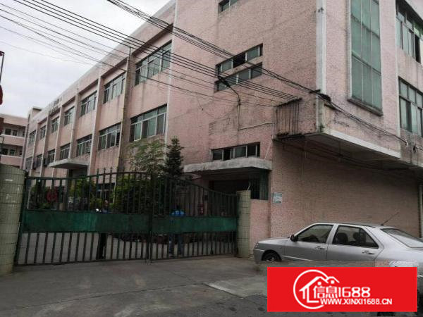 成熟工业区标准厂房一楼1000平方米出租