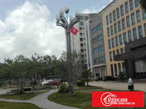 塘厦沙湖电商园厂房每层5500平方！适合电商！物流！贸易