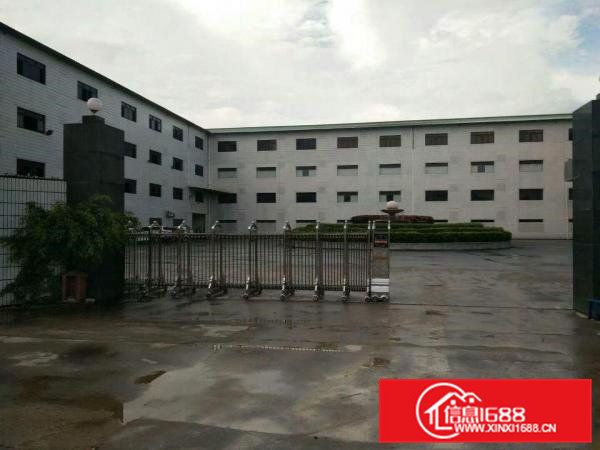 高埗超大超靓标准工业园1000平方厂房出租2楼带电梯