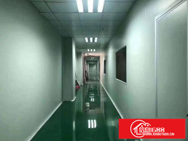 无尘车间，1300平。价格好。搬机生产