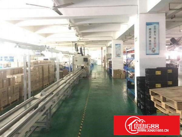 横岗安良整层2500平豪华装修厂房出租，房东直租！