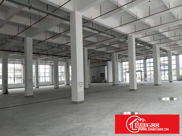 12400平米独院厂房招租（全新厂房，证件齐全）