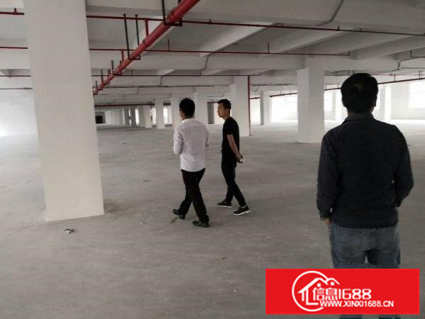 平湖华南城附近原业主厂房4600平方招租