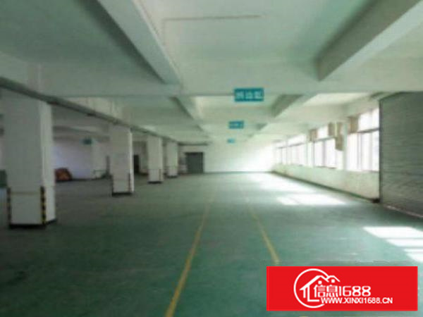 万江独院标准楼上厂房分租500-3000平出租