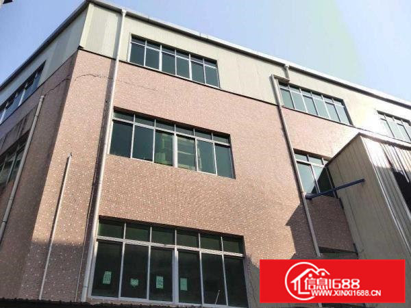 大岭山矮岭冚村107国道旁厂房1080平方，低至10元/平方