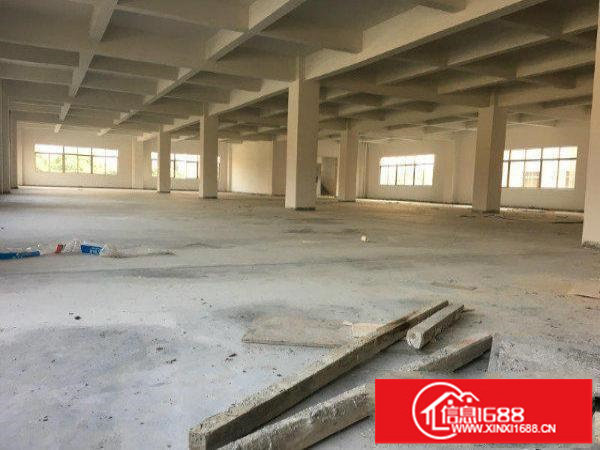 龙岗坪地带牛角厂房2500平米招租