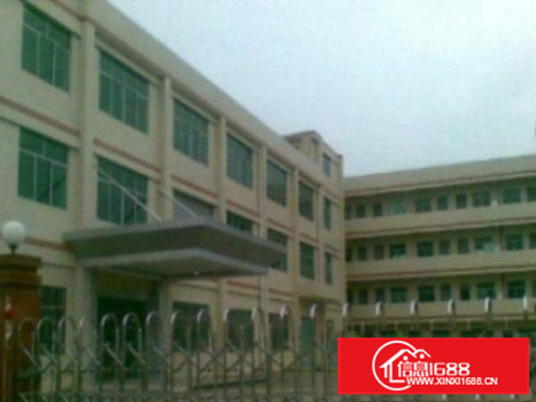 万江周边1出租5001500、2000平方出租形象漂