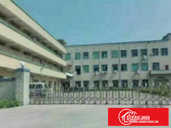 高埗一楼厂房出租5001500、2000平方出租五金塑胶等