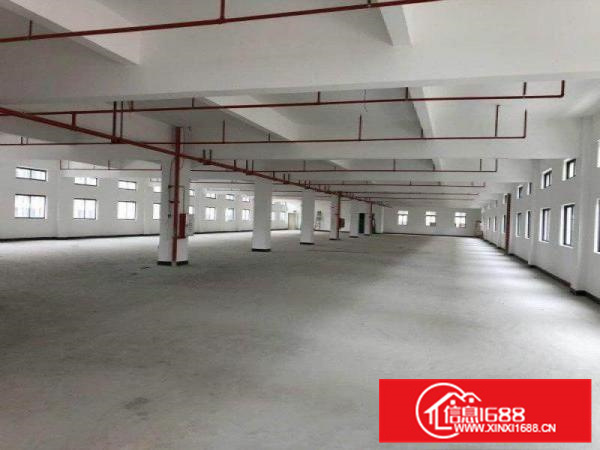 仲恺高新区沥林6万平米花园式全新落地窗厂房火爆招租可分